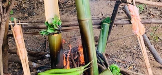 1 Day Learning: Bamboo